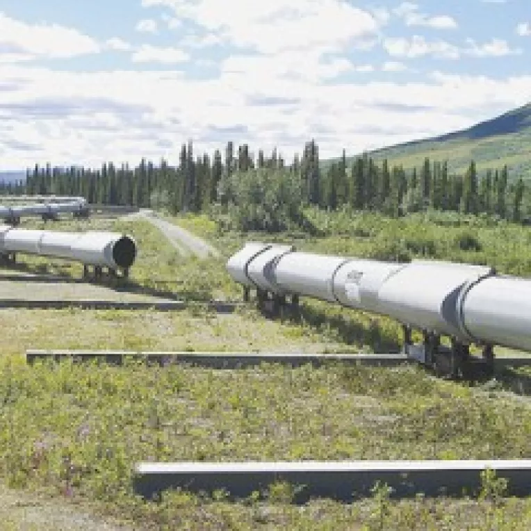 Actionarii oleoductului Constanta-Trieste isi stabilesc sefii si planul de constructie