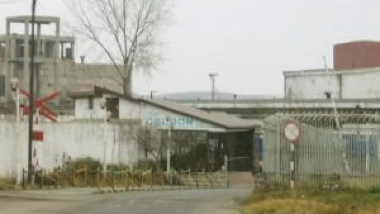 Final tragic pentru Celrom