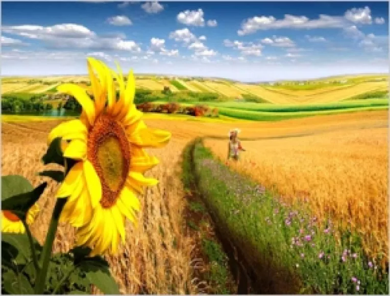 Fotografia pastreaza fragmente de timp