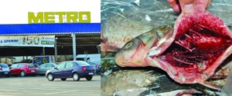 Oferta speciala, la 4 kilograme de peste stricat: Metro 1, dispus sa "cumpere" tacerea clientilor cu 2 sticle de vin